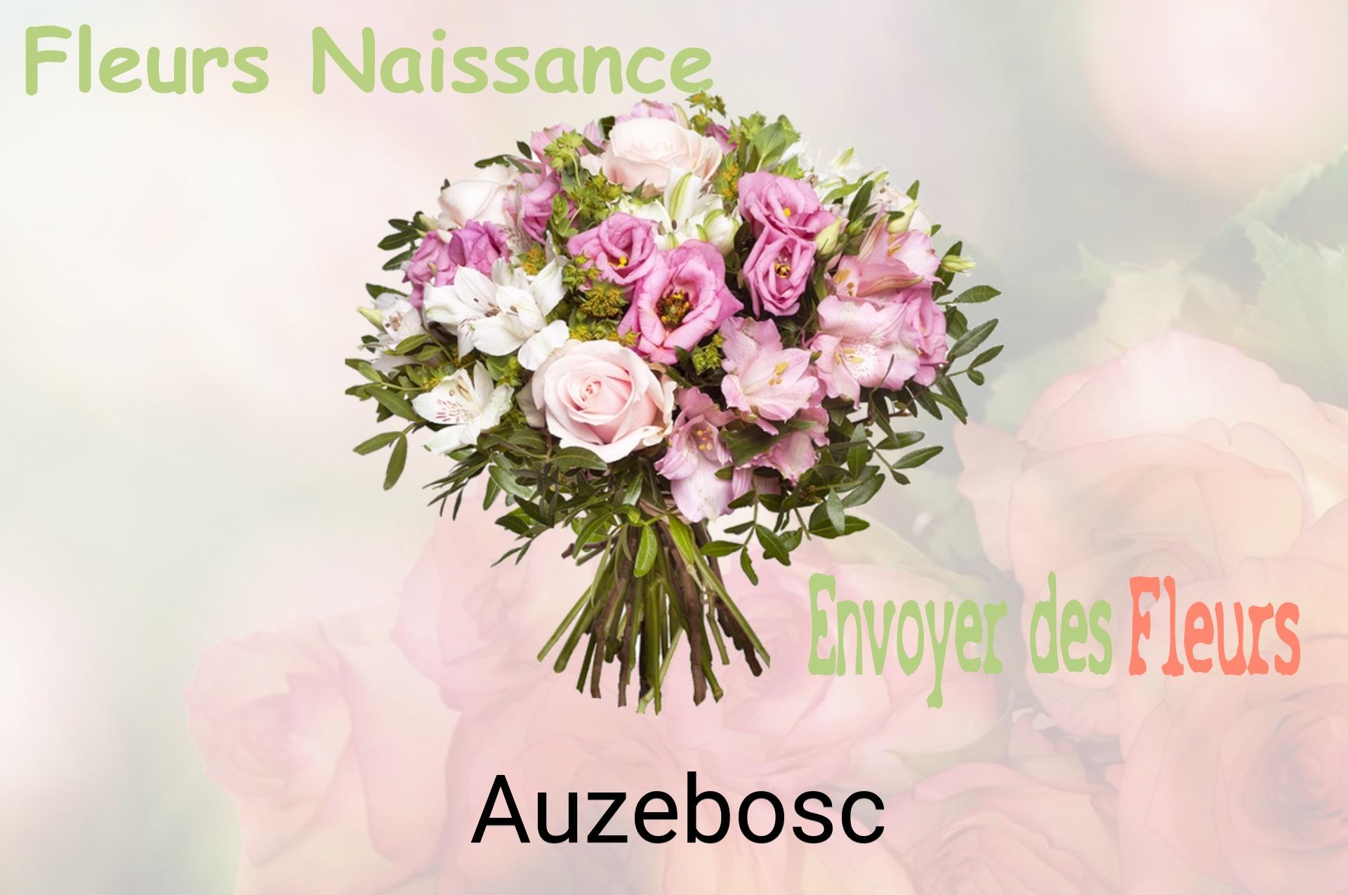 Bouquet de fleurs de naissance livré à Auzebosc